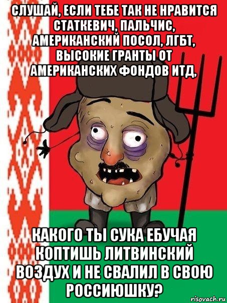 слушай, если тебе так не нравится статкевич, пальчис, американский посол, лгбт, высокие гранты от американских фондов итд, какого ты сука ебучая коптишь литвинский воздух и не свалил в свою россиюшку?, Мем Ватник белорусский