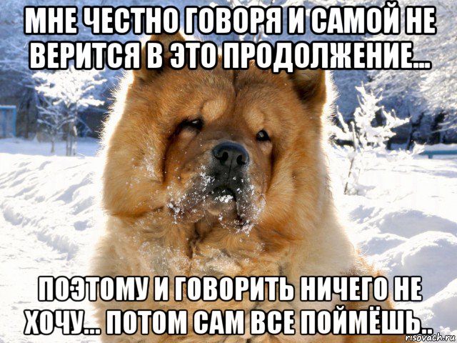 мне честно говоря и самой не верится в это продолжение... поэтому и говорить ничего не хочу... потом сам все поймёшь.., Мем ВЕЧНЫЙ РОМАНТИК