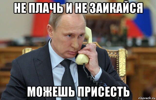 не плачь и не заикайся можешь присесть, Мем Владимир путин звонит
