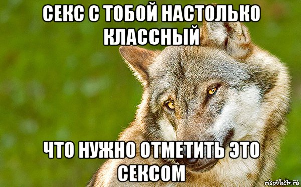 секс с тобой настолько классный что нужно отметить это сексом, Мем   Volf