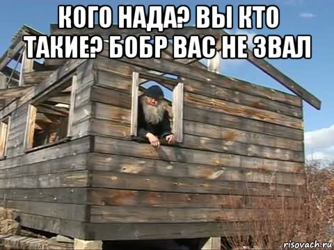 кого нада? вы кто такие? бобр вас не звал , Мем Вы кто такие Я вас не звал