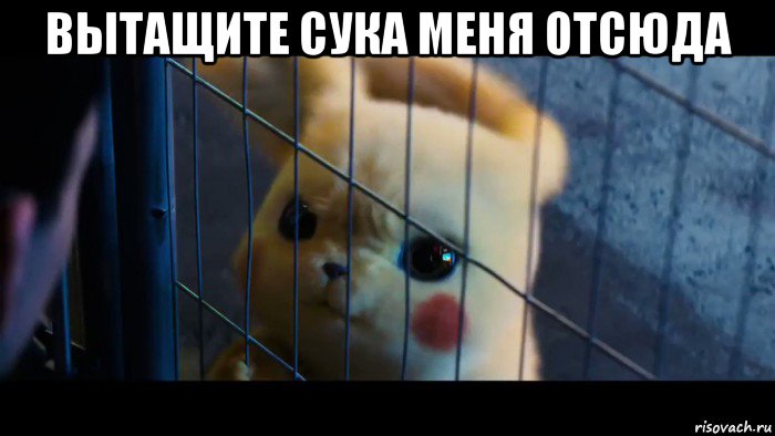 вытащите сука меня отсюда 