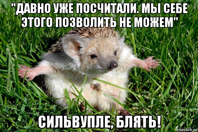 "давно уже посчитали. мы себе этого позволить не можем" сильвупле, блять!, Мем Ёж