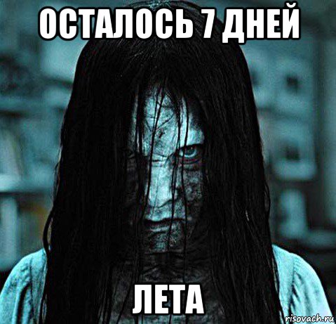 осталось 7 дней лета, Мем 7 дней