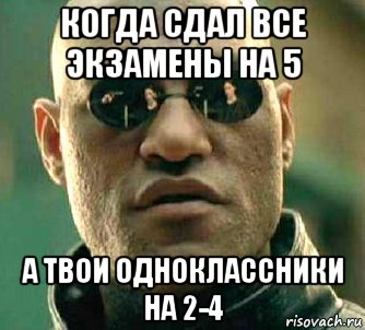 когда сдал все экзамены на 5 а твои одноклассники на 2-4