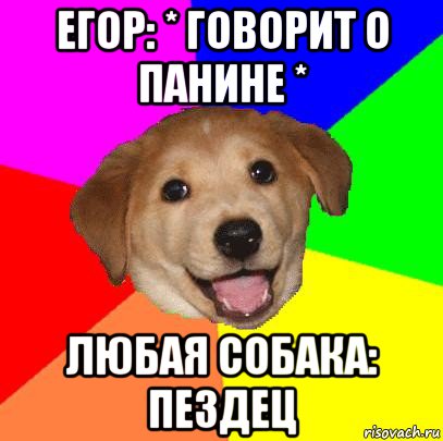 егор: * говорит о панине * любая собака: пездец, Мем Advice Dog