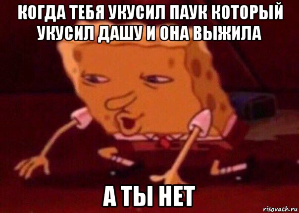 когда тебя укусил паук который укусил дашу и она выжила а ты нет, Мем    Bettingmemes