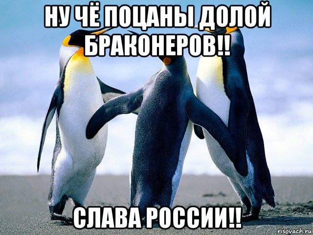 ну чё поцаны долой браконеров!! слава россии!!
