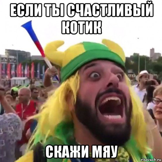 если ты счастливый котик скажи мяу