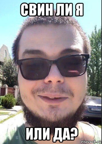 свин ли я или да?