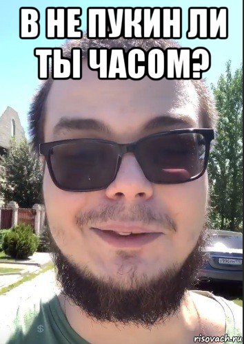в не пукин ли ты часом? 