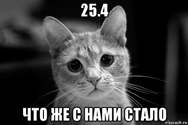 25.4 что же с нами стало