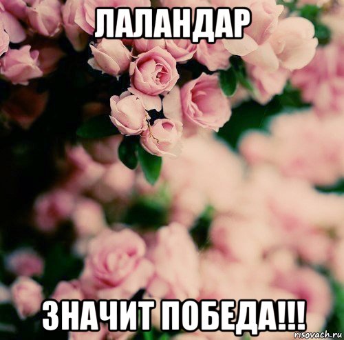 лаландар значит победа!!!