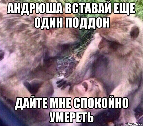 андрюша вставай еще один поддон дайте мне спокойно умереть