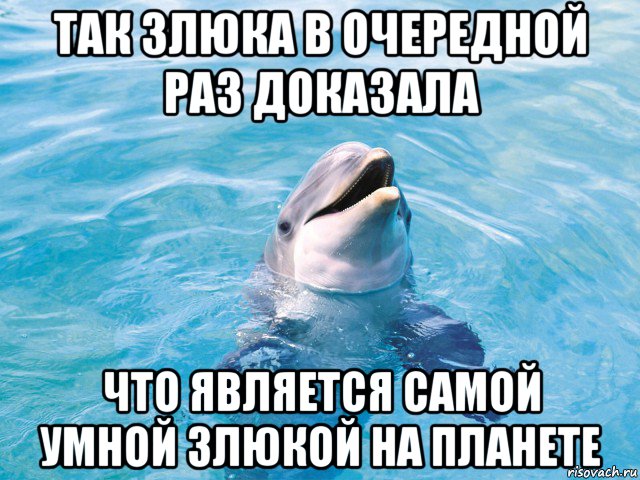 так злюка в очередной раз доказала что является самой умной злюкой на планете, Мем Дельфин