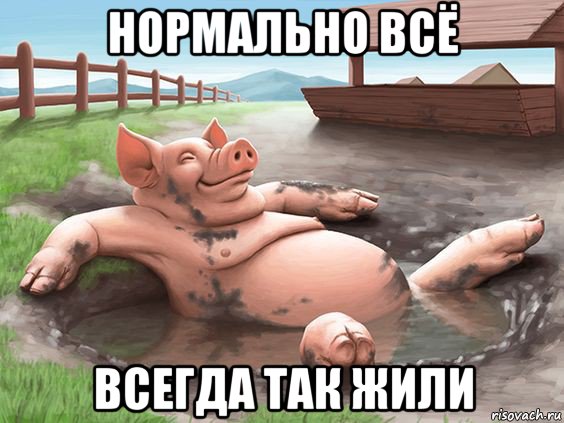 нормально всё всегда так жили