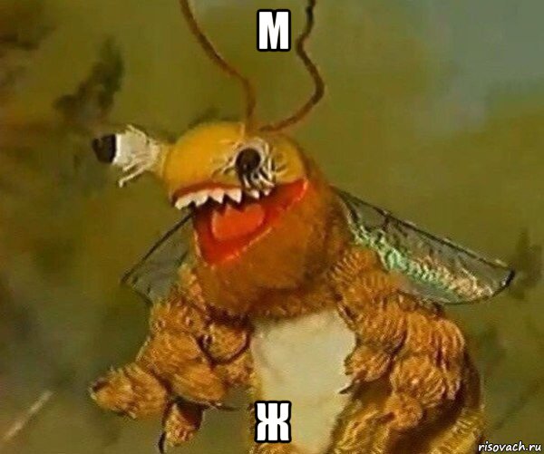 м ж