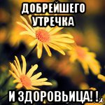 добрейшего утречка и здоровьица! !, Мем Доброе утро Иришка