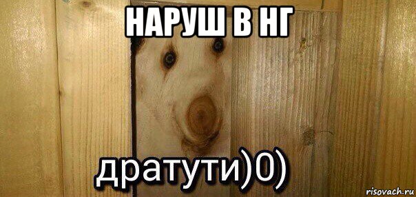 наруш в нг 