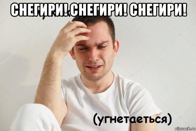 снегири! снегири! снегири! 
