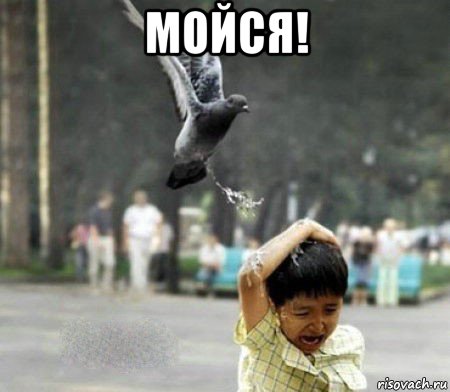 мойся! 
