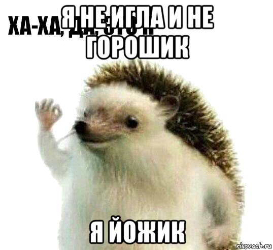 я не игла и не горошик я йожик, Мем Ха-ха да это я