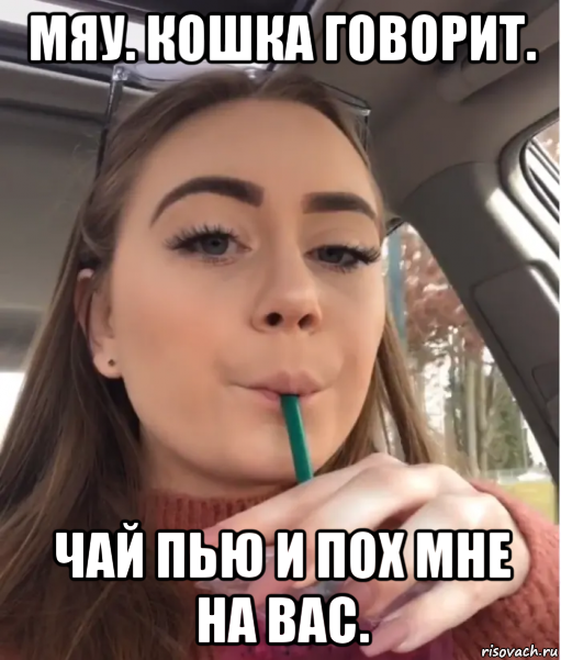 мяу. кошка говорит. чай пью и пох мне на вас., Мем Heres the Mother Fucking Tea
