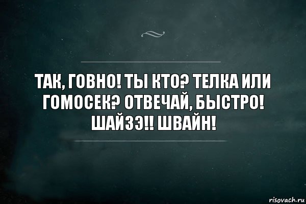 ТАК, ГОВНО! ТЫ КТО? ТЕЛКА ИЛИ ГОМОСЕК? ОТВЕЧАЙ, БЫСТРО! ШАЙЗЭ!! ШВАЙН!, Комикс Игра Слов