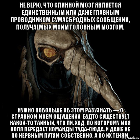не верю, что спинной мозг является единственным или даже главным проводником сумасбродных сообщении, получаемых моим головным мозгом. нужно побольше об этом разузнать — о странном моем ощущении, будто существует какой-то тайный, что ли, ход, по которому моя воля передает команды туда-сюда, и даже не по нервным путям собственно, а по их теням.