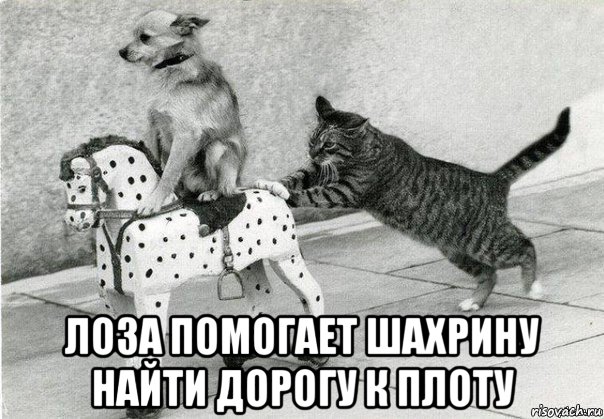  лоза помогает шахрину найти дорогу к плоту, Мем Катись к хуям