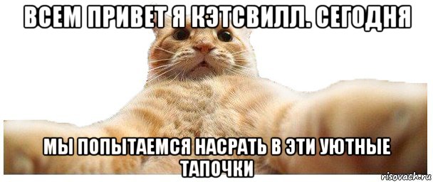 всем привет я кэтсвилл. сегодня мы попытаемся насрать в эти уютные тапочки, Мем   Кэтсвилл