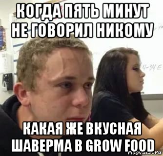 когда пять минут не говорил никому какая же вкусная шаверма в grow food
