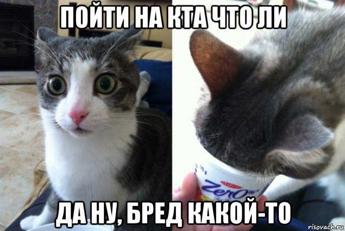 пойти на кта что ли да ну, бред какой-то