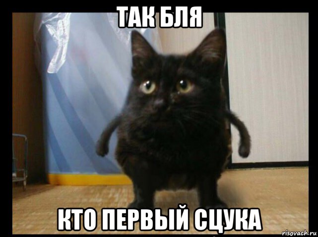 так бля кто первый сцука