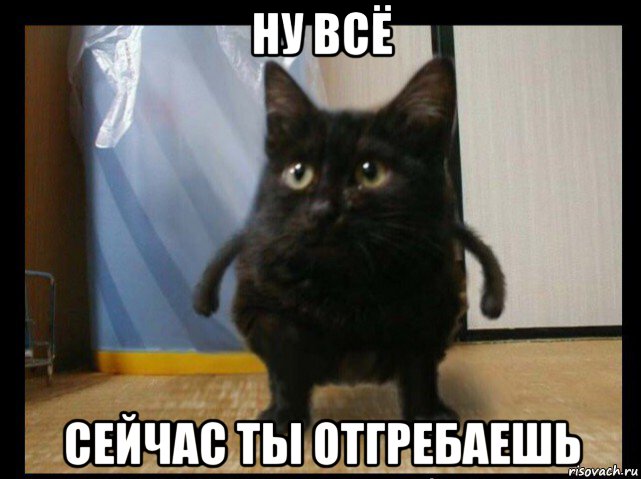 ну всё сейчас ты отгребаешь