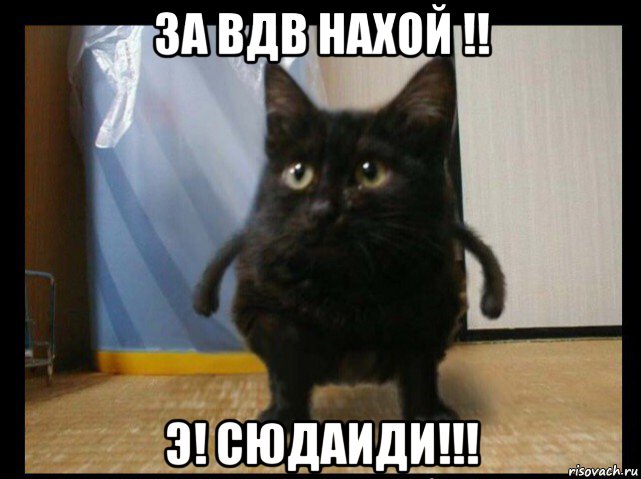 за вдв нахой !! э! сюдаиди!!!