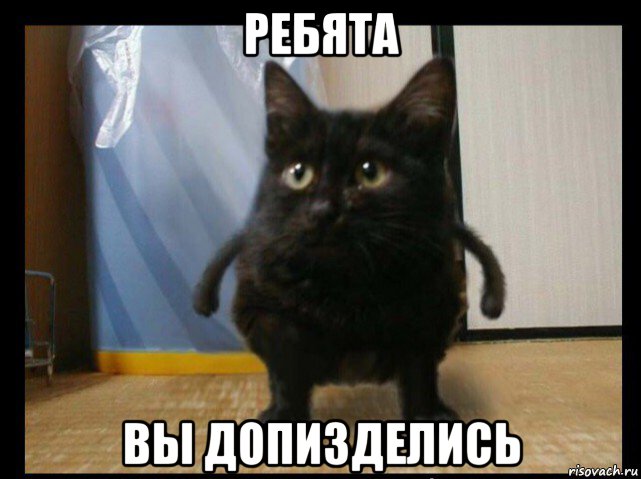 ребята вы допизделись