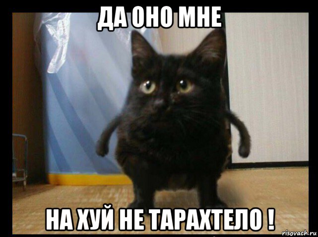 да оно мне на хуй не тарахтело !