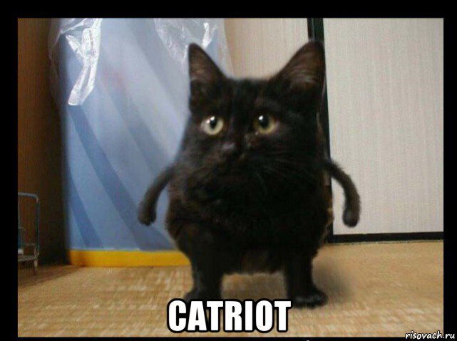  catriot