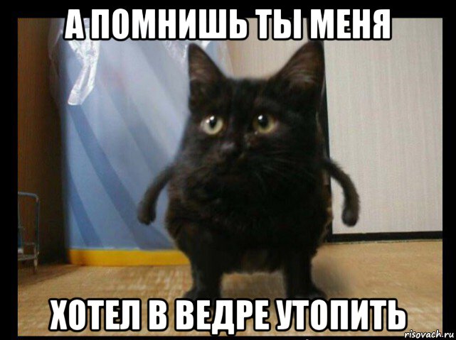 а помнишь ты меня хотел в ведре утопить