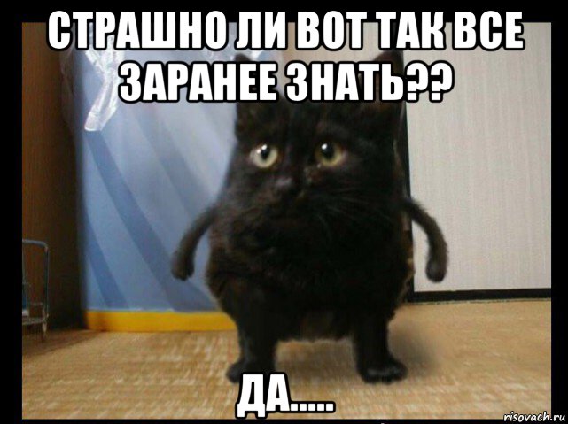 страшно ли вот так все заранее знать?? да.....