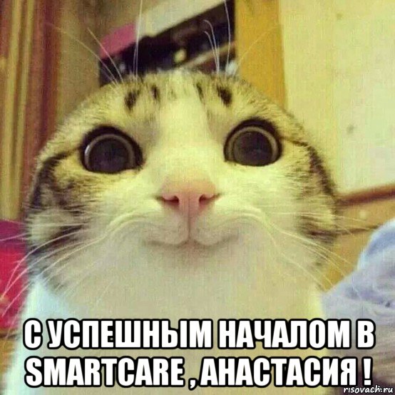  с успешным началом в smartcare , анастасия !, Мем       Котяка-улыбака