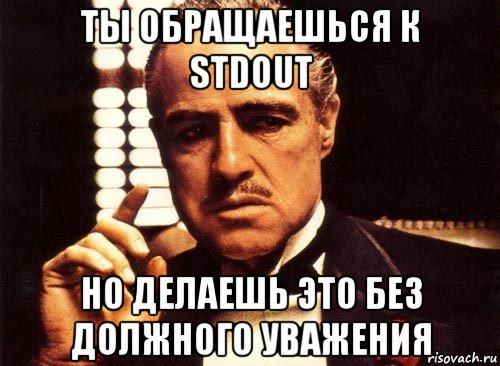 ты обращаешься к stdout но делаешь это без должного уважения, Мем крестный отец