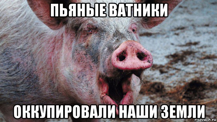 пьяные ватники оккупировали наши земли
