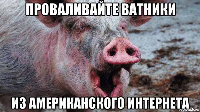 проваливайте ватники из американского интернета, Мем Крым наш