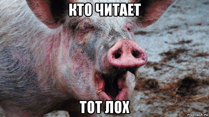 кто читает тот лох