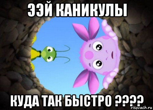 ээй каникулы куда так быстро ????