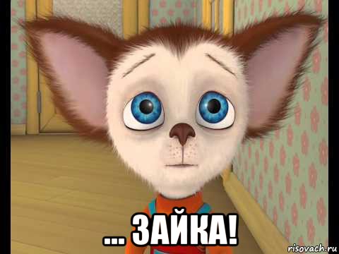  ... зайка!