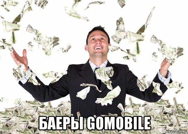 баеры gomobile