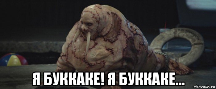  я буккаке! я буккаке..., Мем Морж